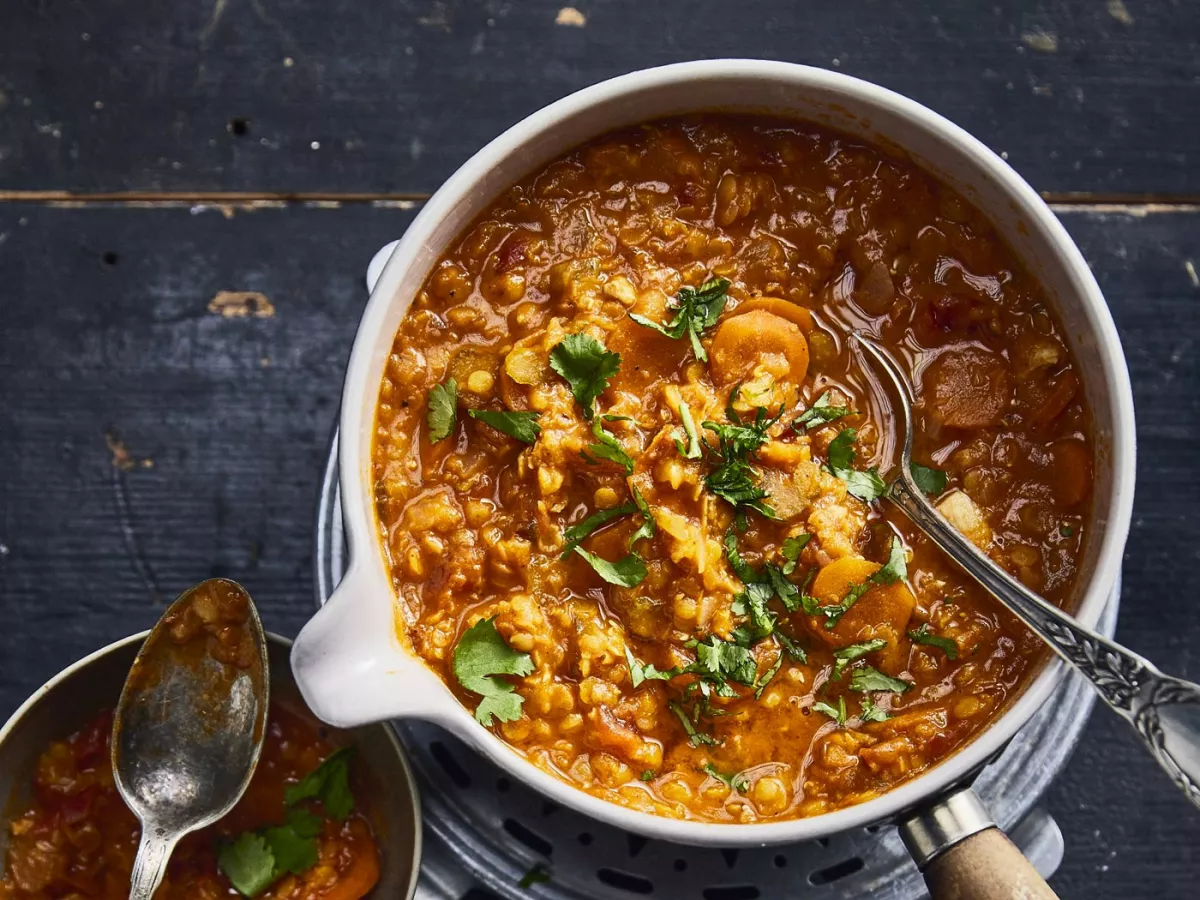 شوربة عدس بالدجاج