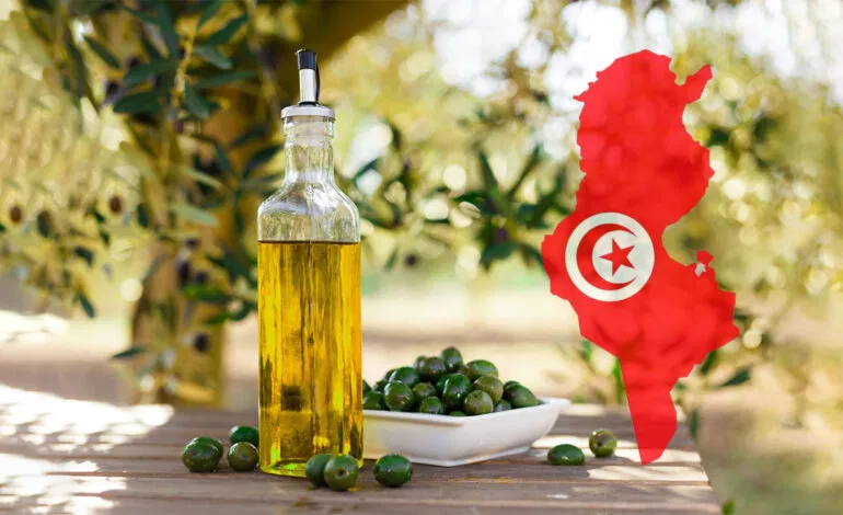 L’Or Liquide de Tunisie : Pourquoi l’Huile d’Olive Tunisienne est-elle la Meilleure au Monde ?